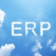 Mobile ERP solutions enable you to make better use of cloud functionality.